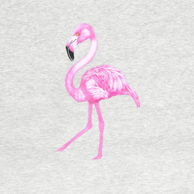 flamingo by SeymourArt